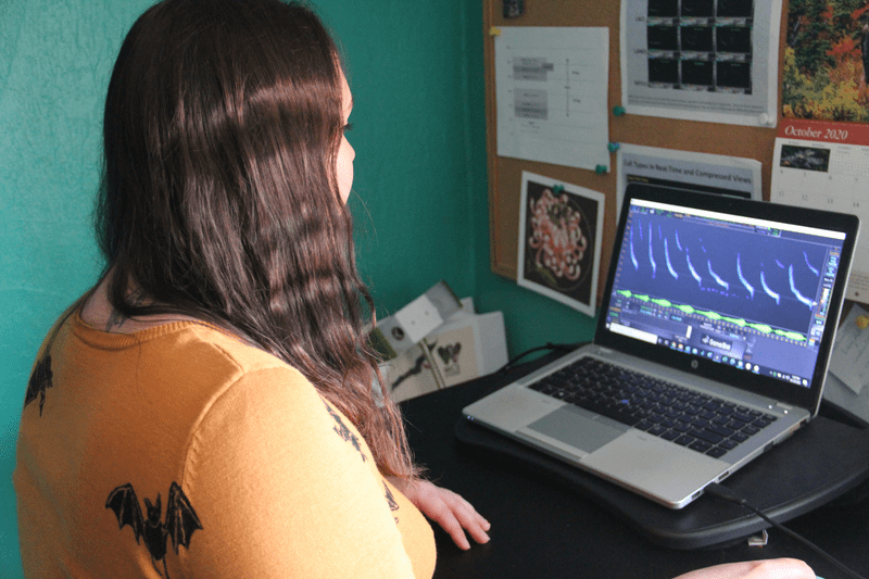 Christen Long acoustic processing
